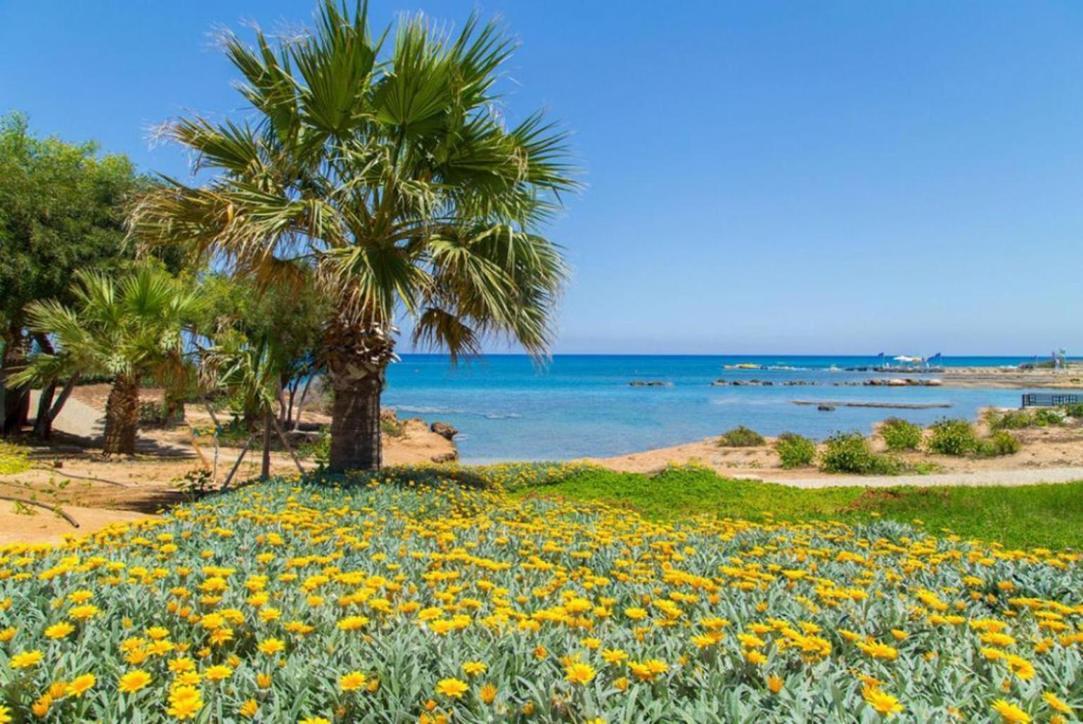 Villa Constantinos Kato Yialia Экстерьер фото